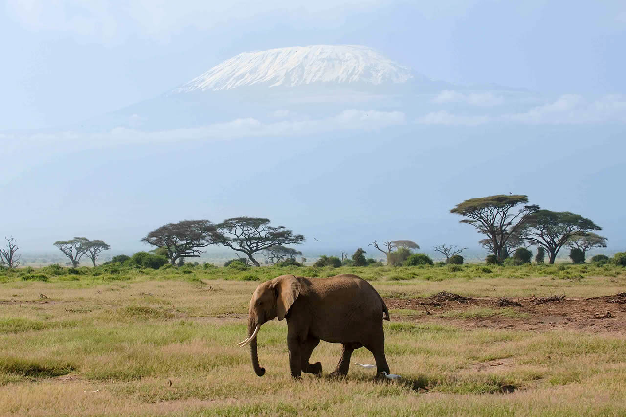 4 Days | Tsavo West and Amboseli Exploration