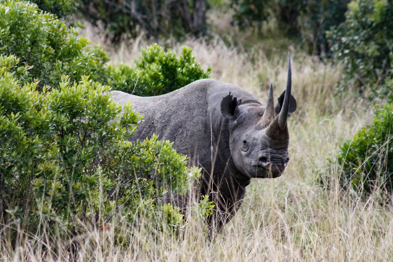 6 days 5 nights Days | Big Five Adventure