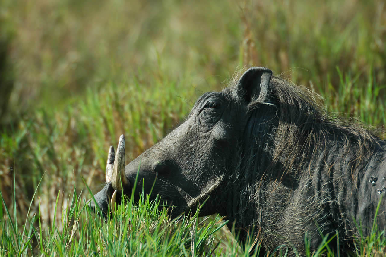 7 Days | Kenya Highlights Tour