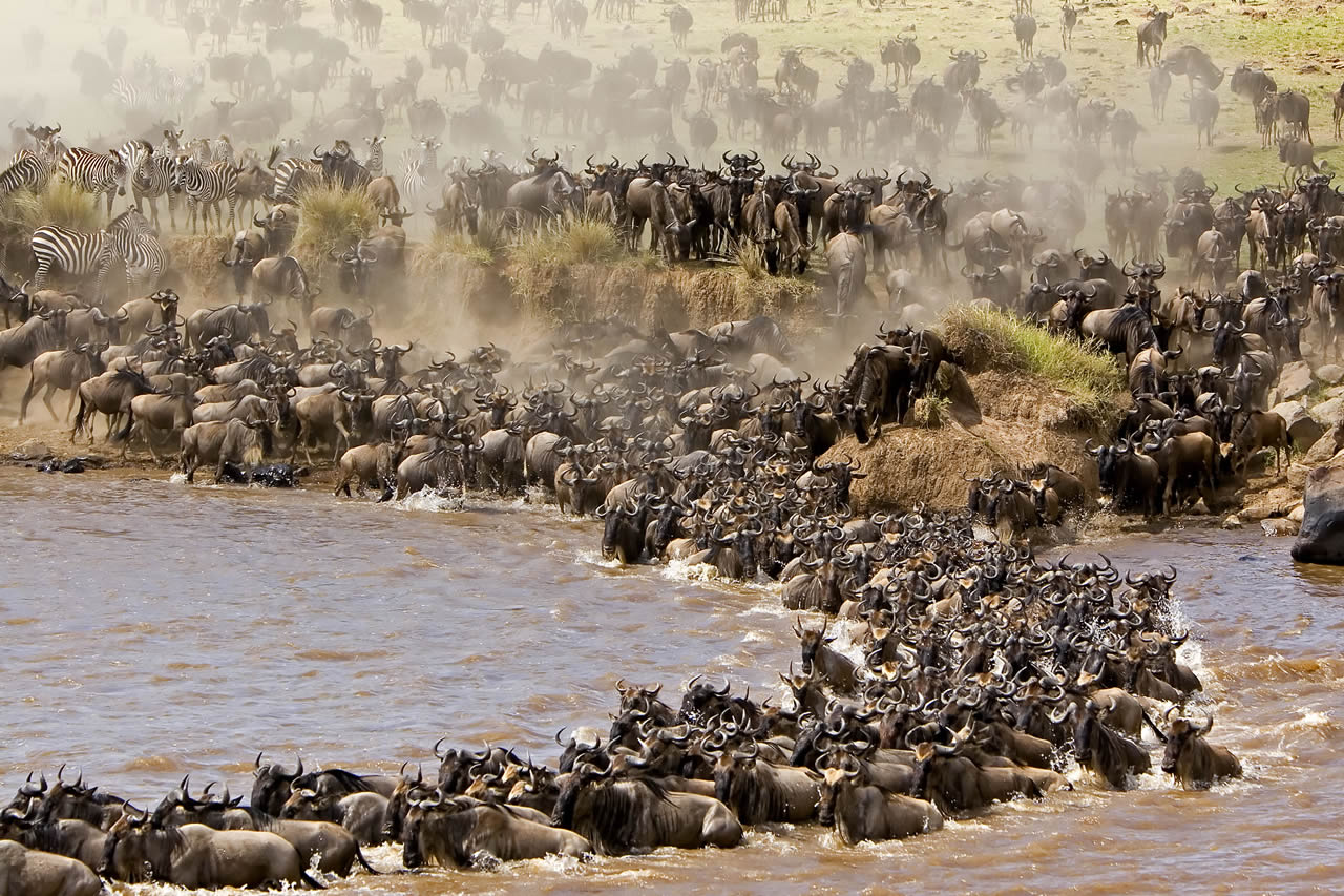 7 Days | Great Migration Trail