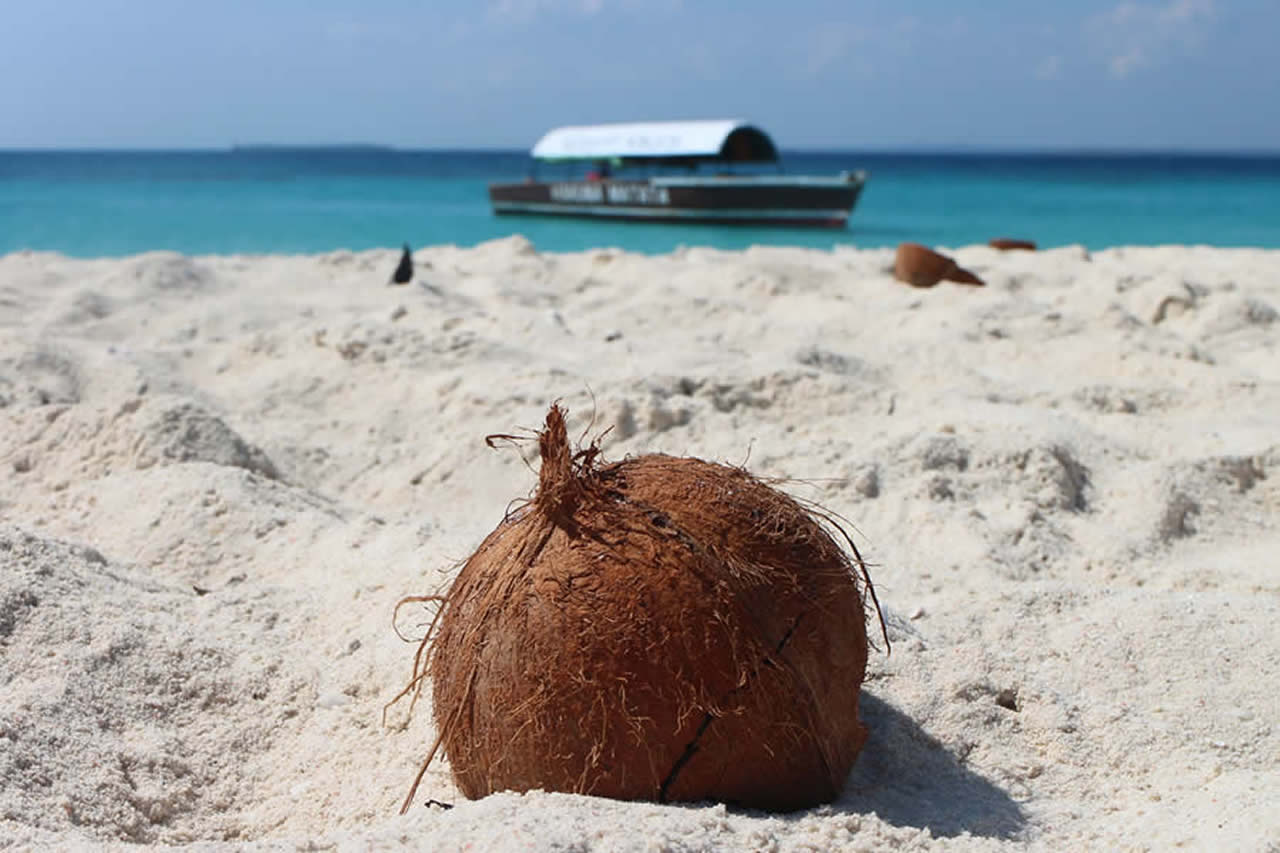 3 Days | Tsavo and Mombasa Beach Escape